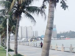 -港珠澳大桥(珠海段)