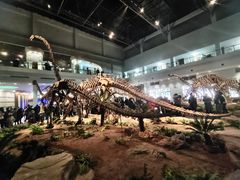 -自贡恐龙博物馆