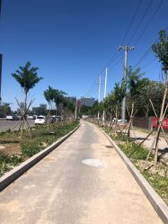 -大望京儿童游乐场