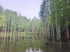 -波尔登森林公园