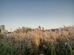 -奥林匹克森林公园南门-停车场