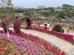 -东莞植物园
