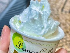 -柠檬车露(卖草地店)