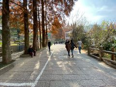 -石台牯牛降景区