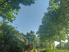-西安汉城湖景区
