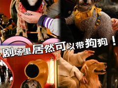 -瑞虹新天地月亮湾