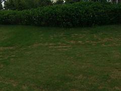 -广州七星岗古海岸遗址科学公园