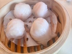 -金苑喜宴