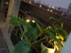 -常乐·对症推拿(世豪第30分店)