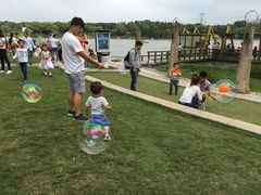 -昆山城市生态森林公园