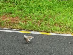 -长春世界雕塑园
