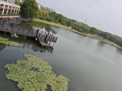 -水月周庄铂尔曼酒店 · 漾全日餐厅