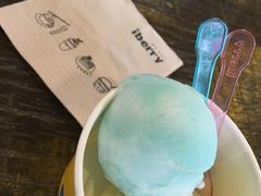 -莓园冰淇淋店