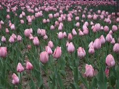 -长春公园(普阳街道)