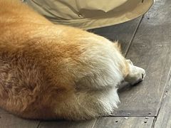 -肥朵食堂(带梦胡同店)