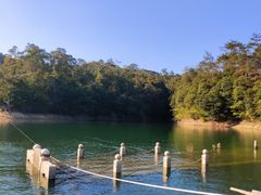 -广州市流溪河国家森林公园