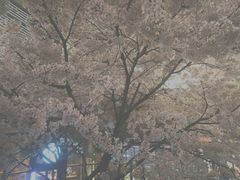 -星巴克臻选(杭州万象城店)