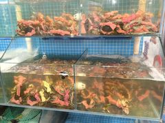 -辣螃铠盆盆蟹大排档(总店)