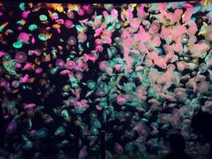 -珠海长隆海洋王国
