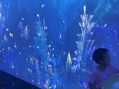 -中国湿地博物馆