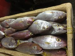 -金巴兰海鲜王