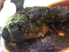 -津菜宋记老房子(鼓楼店)
