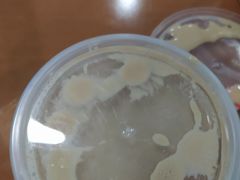 -杨国福麻辣烫(角门店)