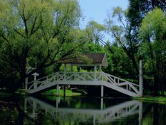 -上海共青森林公园