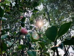 -华南国家植物园-售票处