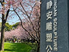 -云阿蛮云南生烫牛肉米线(奉贤路店)