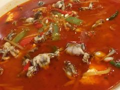 -情妹耙泥鳅·江湖川菜(科华店)