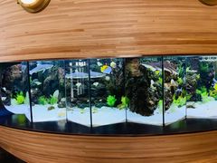 -人杰鱼乐轩(珠江路店)