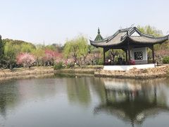 -无锡蠡湖国家湿地公园-蠡园