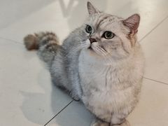 -平行世界·猫咖(首经贸店)