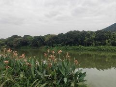 -风云岭森林公园