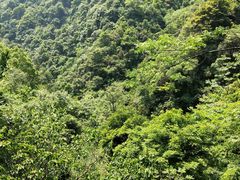 -宁波五龙潭景区