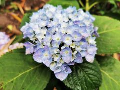 -苏州河梦清园环保主题公园