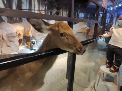 -酷嗒动物文化乐园(cutezoo西溪乐天城店)