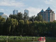 -团结湖公园