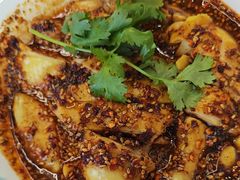 -杨氏青龙虾·羊蝎子(珠江路店)