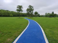 -宜兴龙背山森林公园