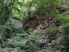 -大岭沟猕猴桃谷风景区