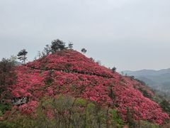 -木兰云雾山