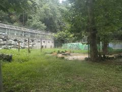-黔灵山公园