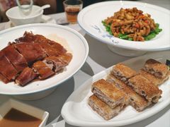 -椿记烧鹅(叠彩店)