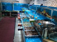 水产区-港畔赶海蒸汽海鲜烧烤自助(仙螺岛店)