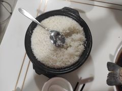 -煲来饱去冷水鱼