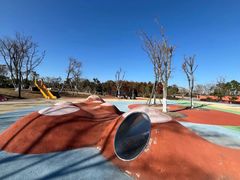 -春花秋色城市公园