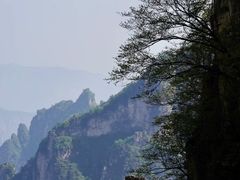 -王莽岭风景区