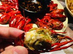 极品蒸虾-巴厘龙虾·榜首油焖大虾(旗舰店·万松园)